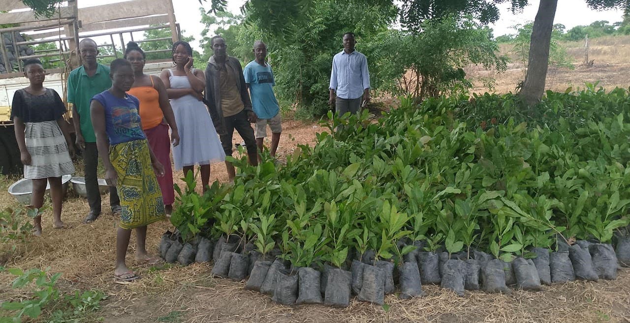 Cashew & Mango Planting